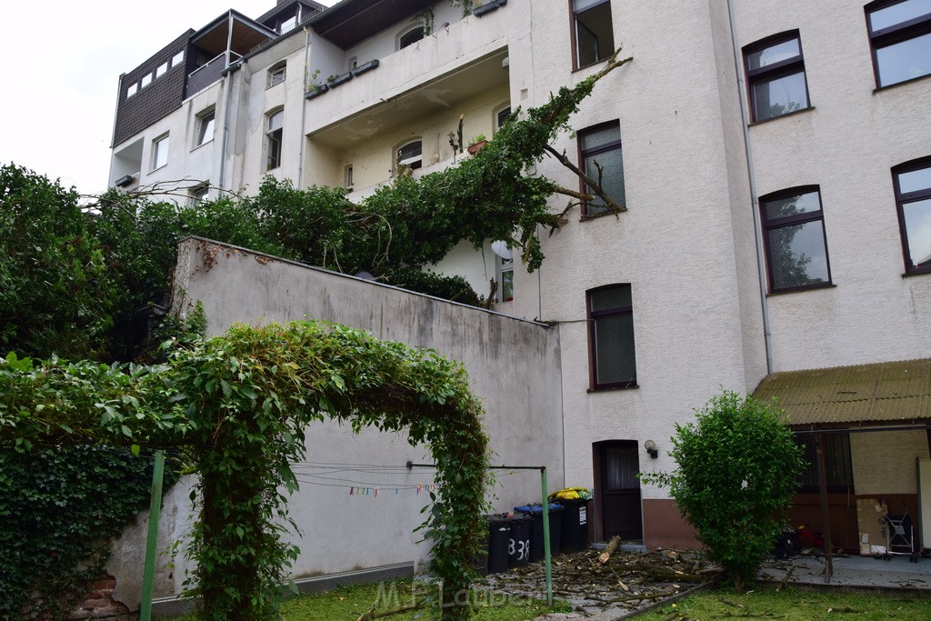 Einsatz BF Baum umgestuerzt Koeln Kalk Eythstr P17.JPG - Miklos Laubert